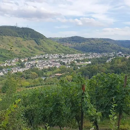 Apartment Neue Helle Im Herrlichen *